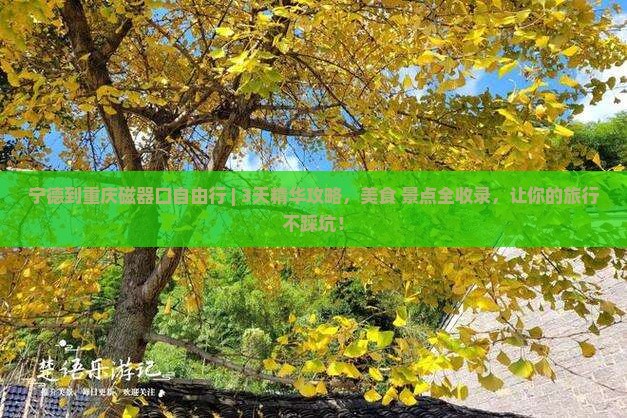 宁德到重庆磁器口自由行