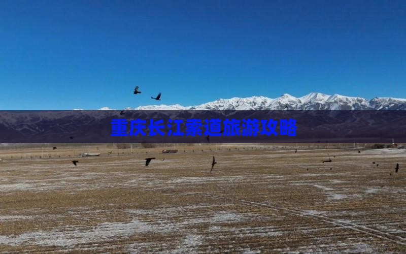 甘孜去重庆长江索道攻略