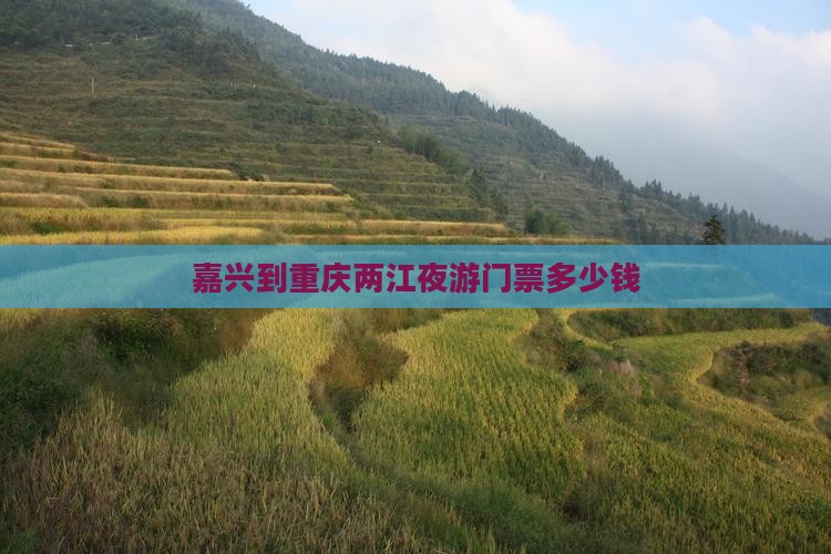 嘉兴到重庆两江夜游门票
