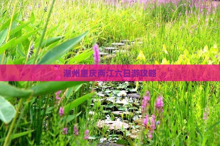 湖州到重庆两江夜游六日游