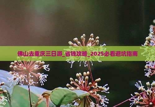 佛山去重庆三日游