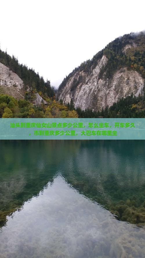汕头到重庆仙女山景点