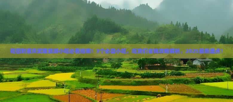 和田到重庆武隆旅游小吃