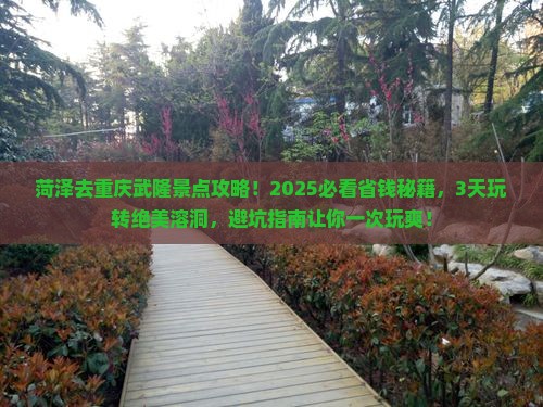 菏泽去重庆武隆景点
