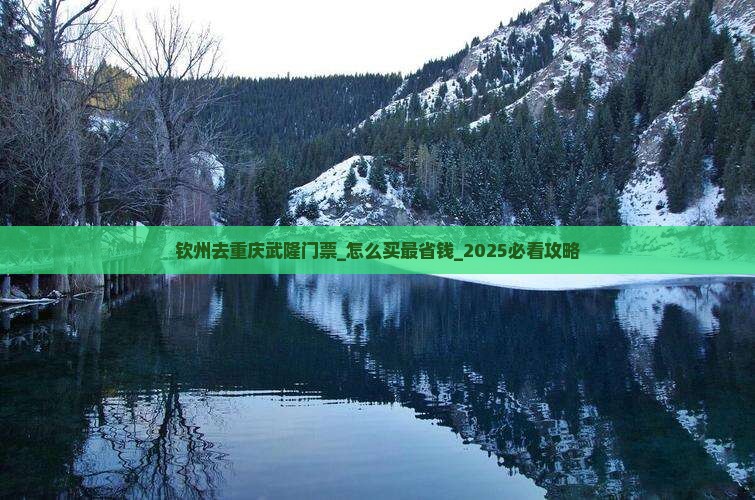 钦州去重庆武隆门票