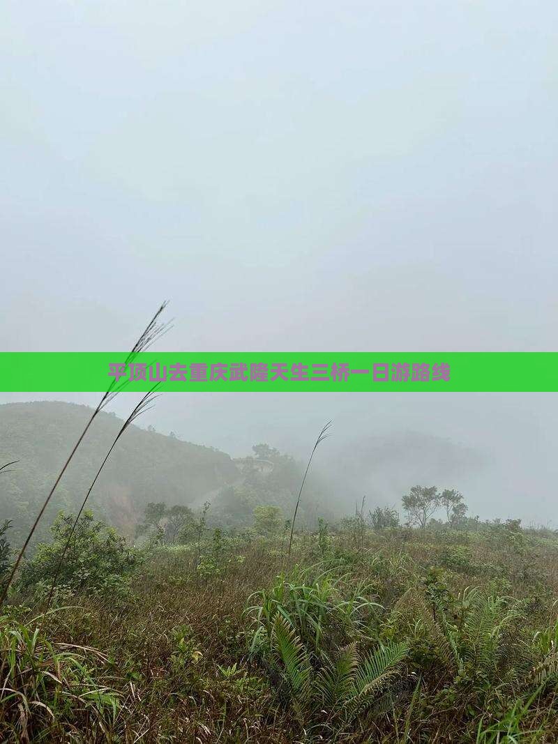 平顶山去重庆武隆天生三桥一日