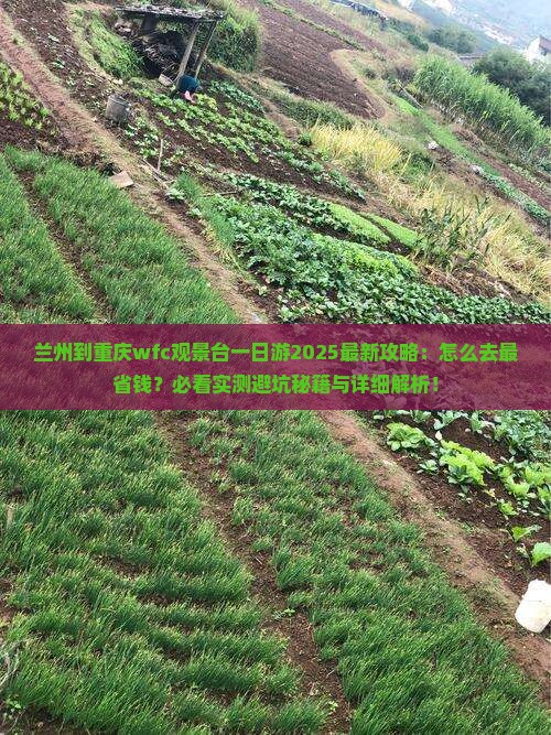 兰州到重庆wfc观景台一日