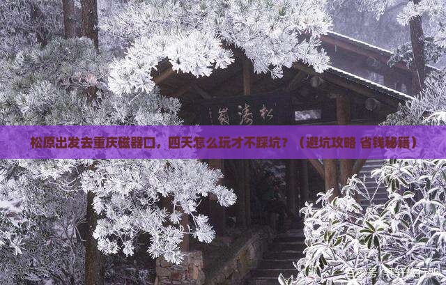 松原去重庆磁器口四日游