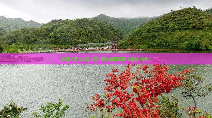 东营去重庆武隆自由团