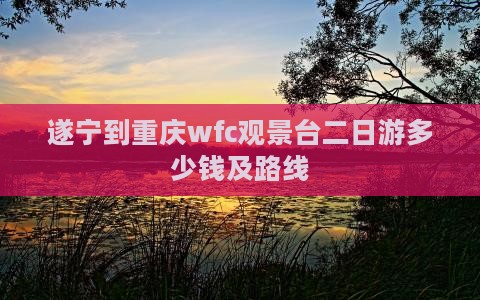 遂宁到重庆wfc观景台二日游
