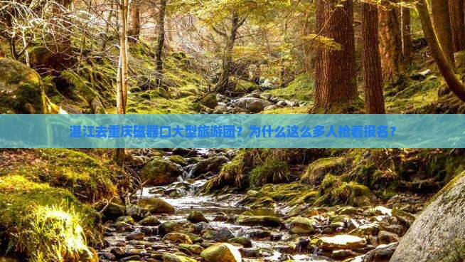 湛江去重庆磁器口大型旅游团