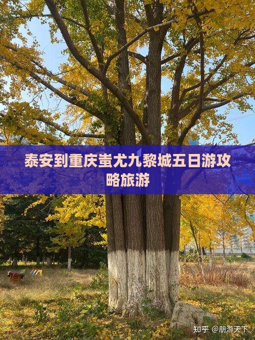 泰安到重庆蚩尤九黎城五日游