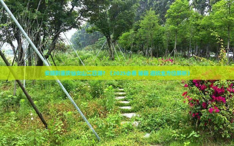 安顺到重庆仙女山二日游