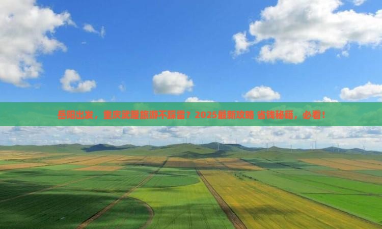 岳阳去重庆武隆哪里玩
