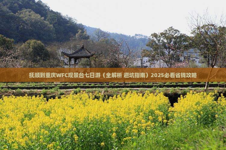 抚顺到重庆wfc观景台七日游