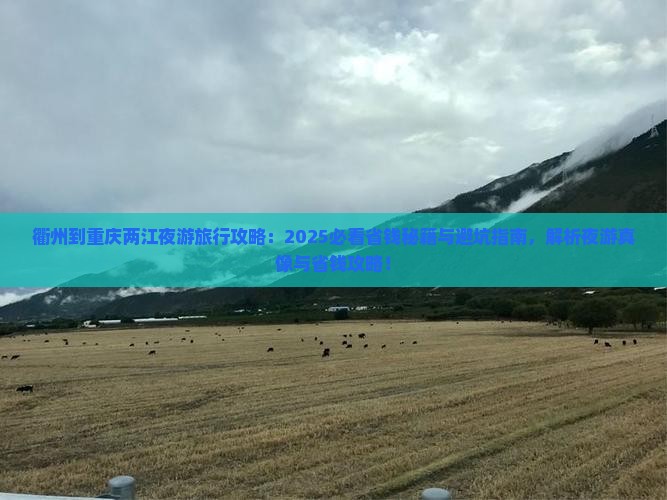 衢州到重庆两江夜游旅行社
