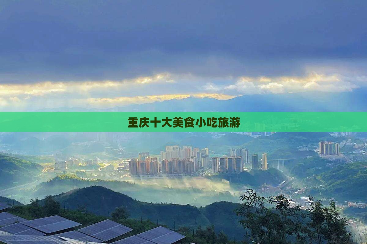 阜阳去重庆旅游小吃