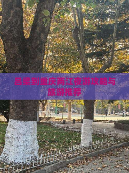 吕梁到重庆两江夜游旅行社