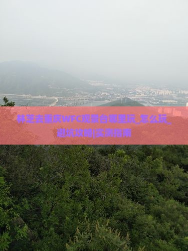 林芝去重庆wfc观景台哪里玩 林芝去重庆wfc观景台哪里玩