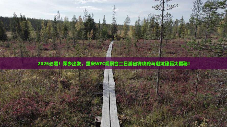萍乡去重庆wfc观景台二日游