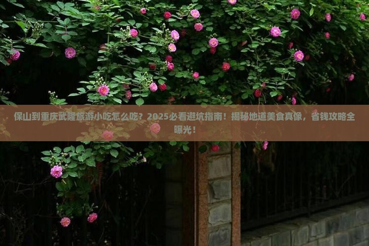 保山到重庆武隆旅游小吃