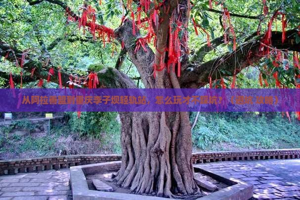 阿拉善盟到重庆李子坝轻轨站个人游