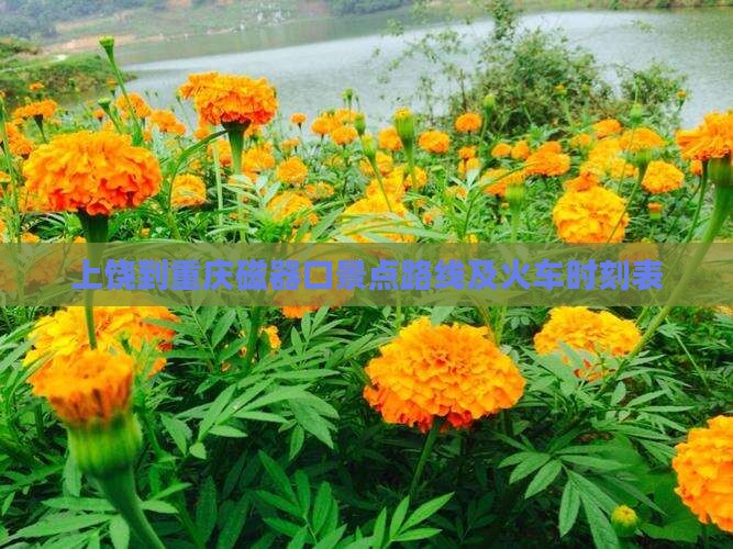 上饶到重庆磁器口景点