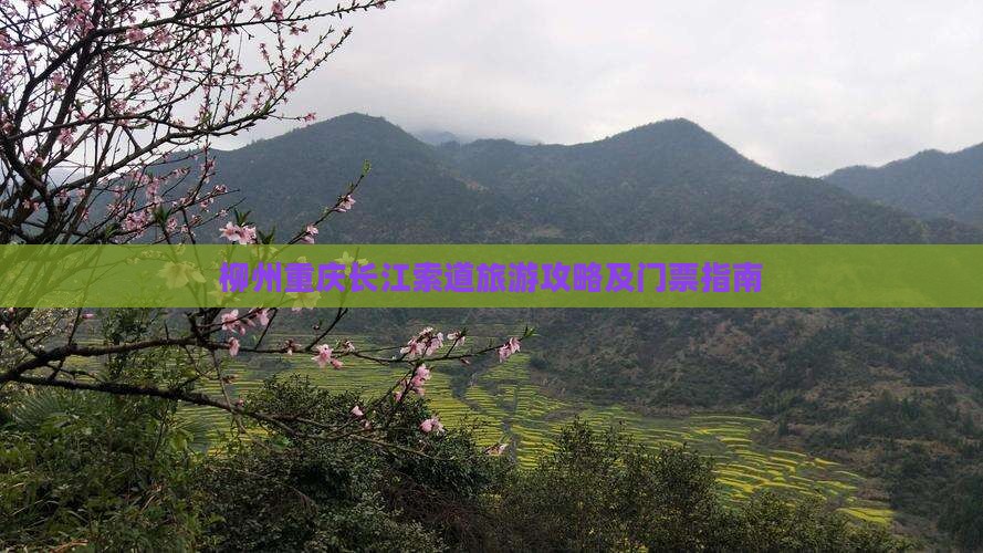 柳州去重庆长江索道团体旅游