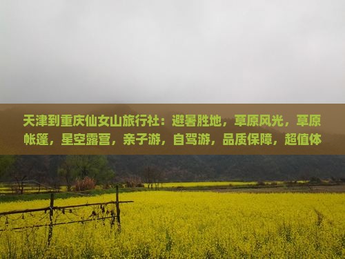 天津到重庆仙女山旅行社