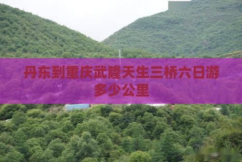 丹东到重庆武隆天生三桥六日游