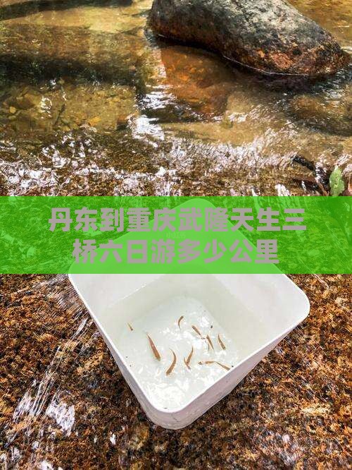 丹东到重庆武隆天生三桥六日游