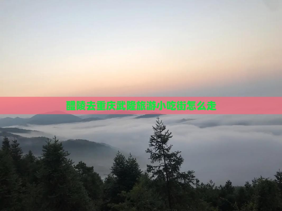 醴陵去重庆武隆旅游小吃