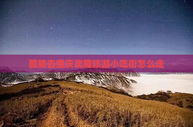 醴陵去重庆武隆旅游小吃