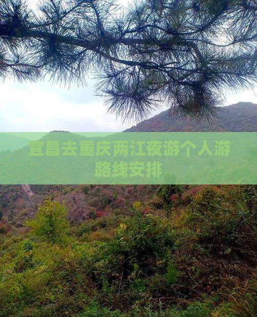 宜昌去重庆两江夜游个人游