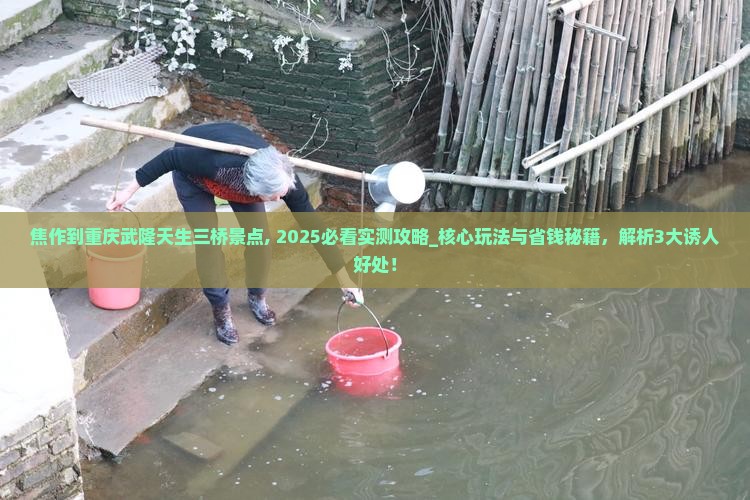 焦作到重庆武隆天生三桥景点