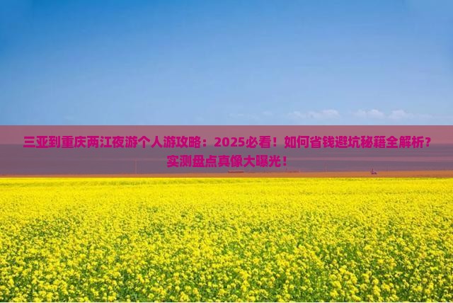 三亚到重庆两江夜游个人游