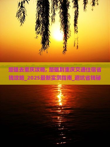 楚雄去重庆攻略