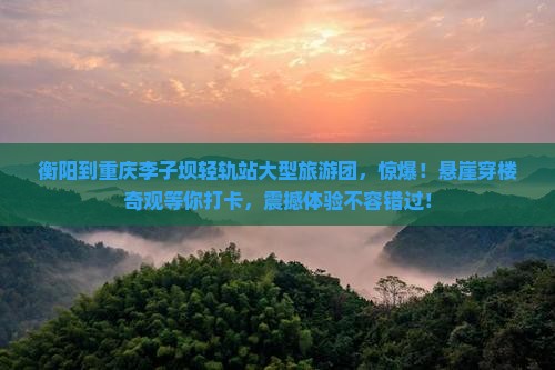 衡阳到重庆李子坝轻轨站大型旅游团