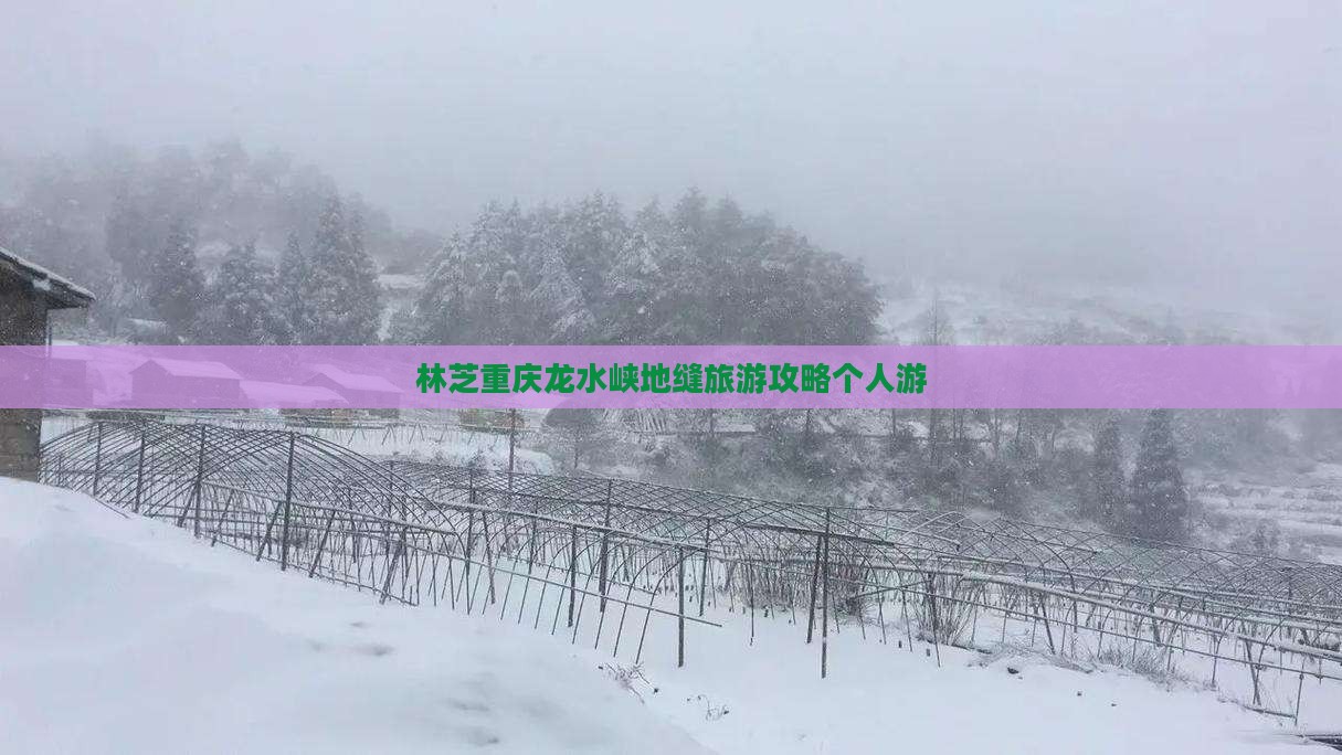 林芝去重庆龙水峡地缝个人游