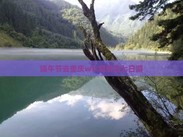 端午节去重庆wfc观景台七日游