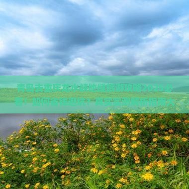 青岛去重庆龙水峡地缝旅行社