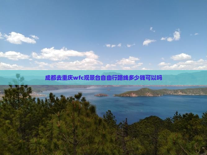 成都去重庆wfc观景台自由行
