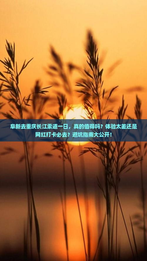 阜新去重庆长江索道一日