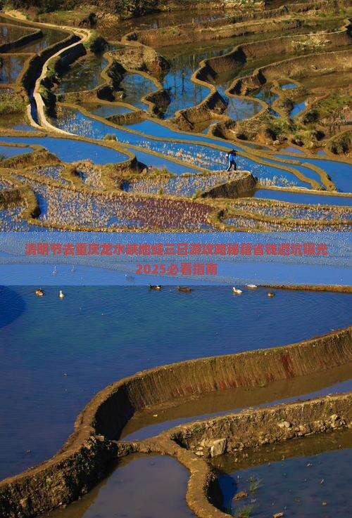 清明节去重庆龙水峡地缝三日游