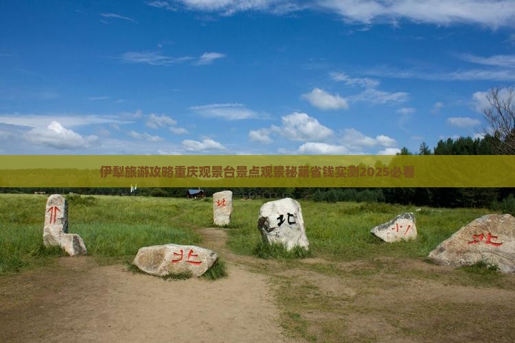 伊犁哈萨克到重庆wfc观景台个人游