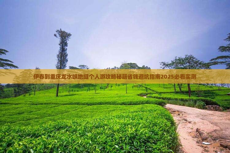 伊春到重庆龙水峡地缝个人游