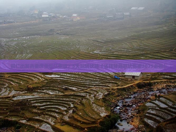 铜仁去重庆长江索道五日游