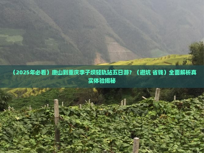 唐山到重庆李子坝轻轨站五日游