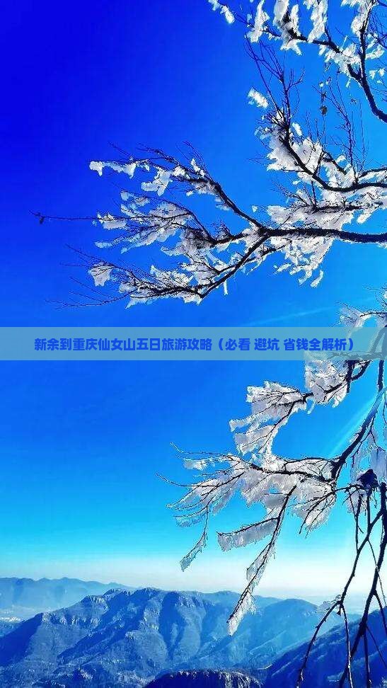 新余到重庆仙女山五日游