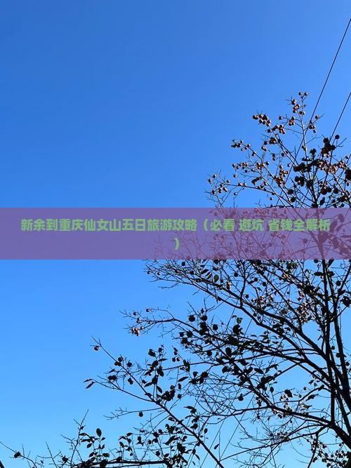 新余到重庆仙女山五日游